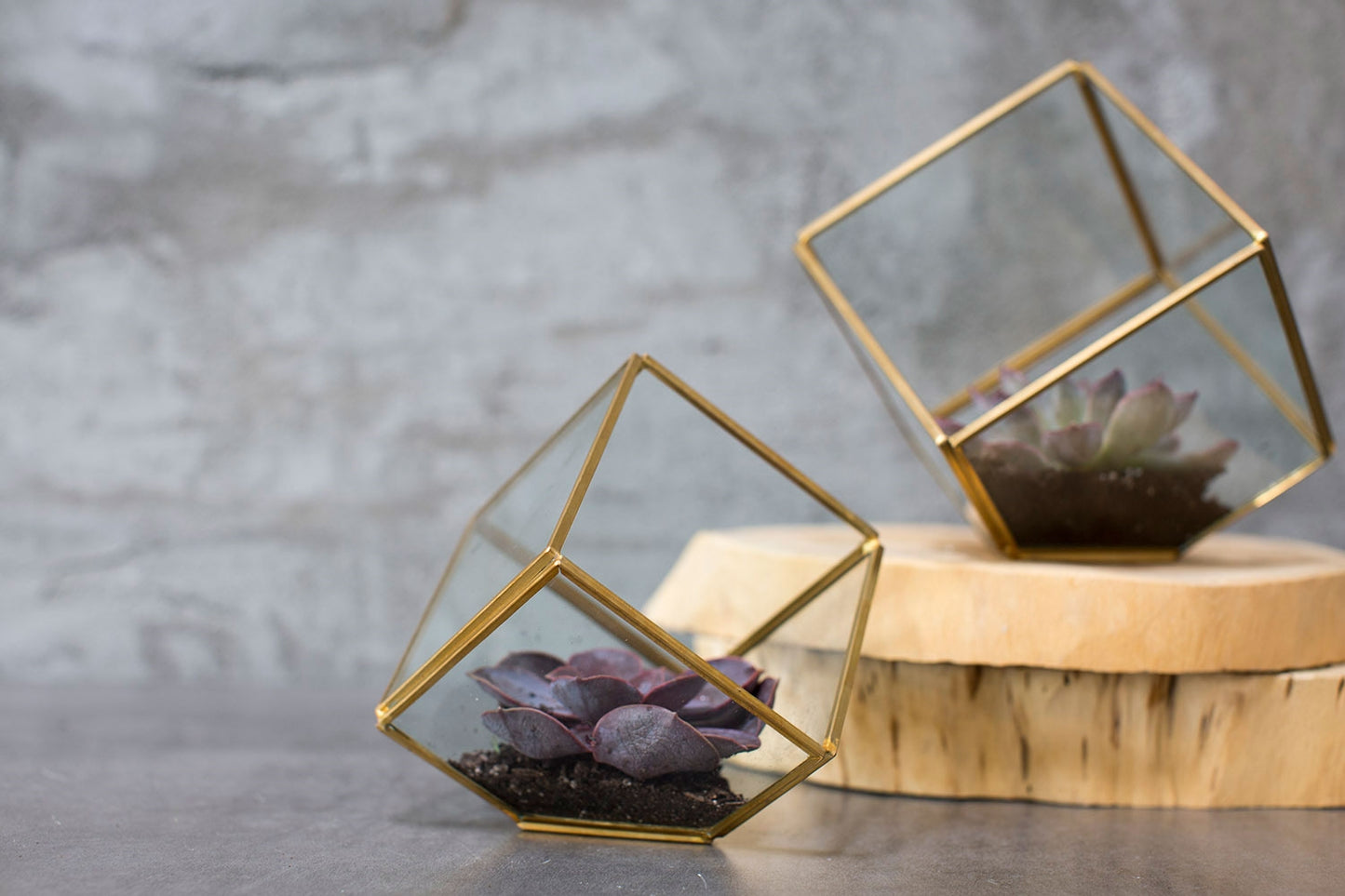 Hira Display Box - La Veta