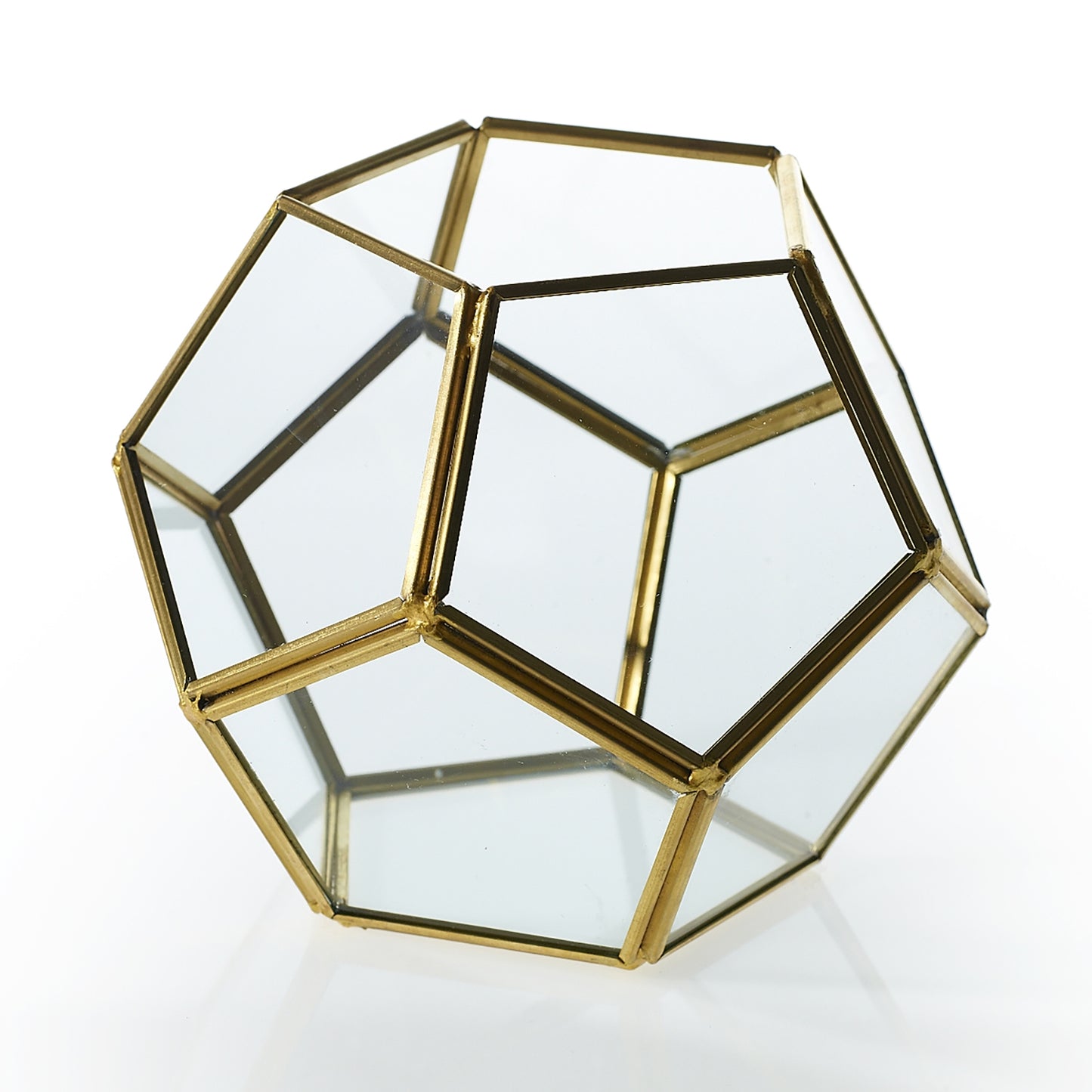Hira Display Box - La Veta