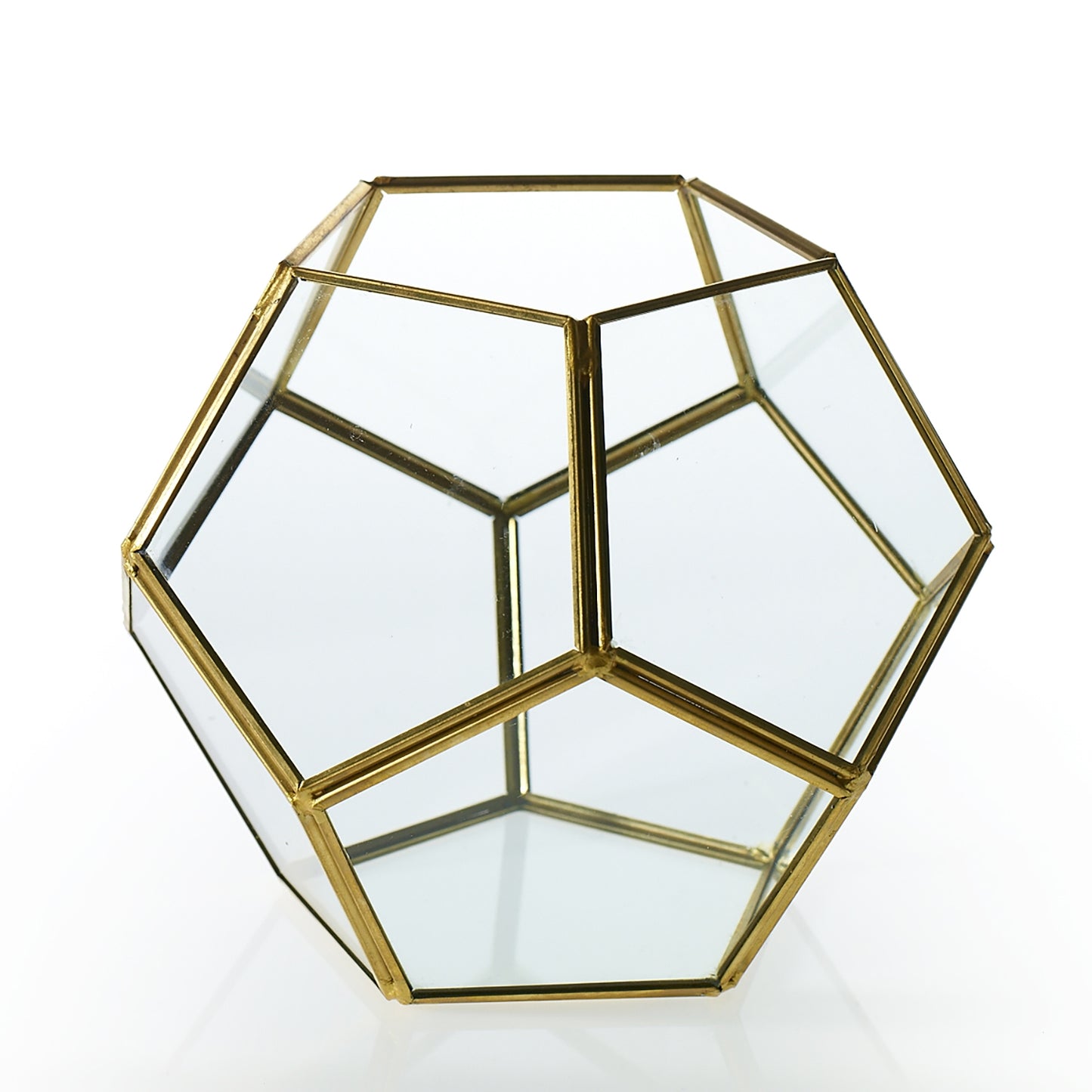 Hira Display Box - La Veta