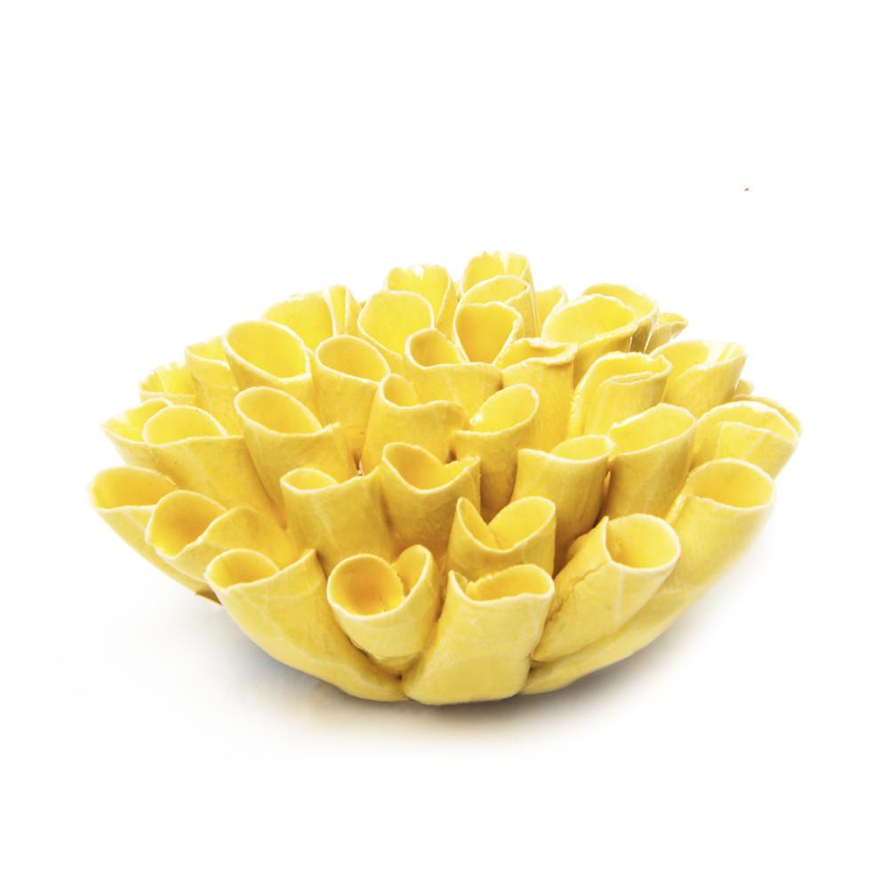 Coral Ceramica 3 - La Veta