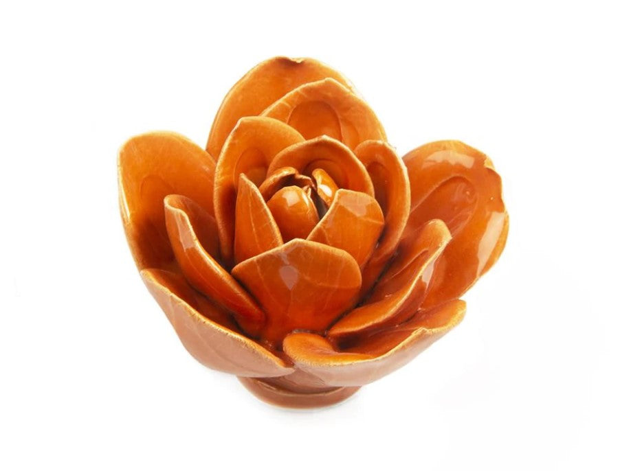 Coral Ceramica 4