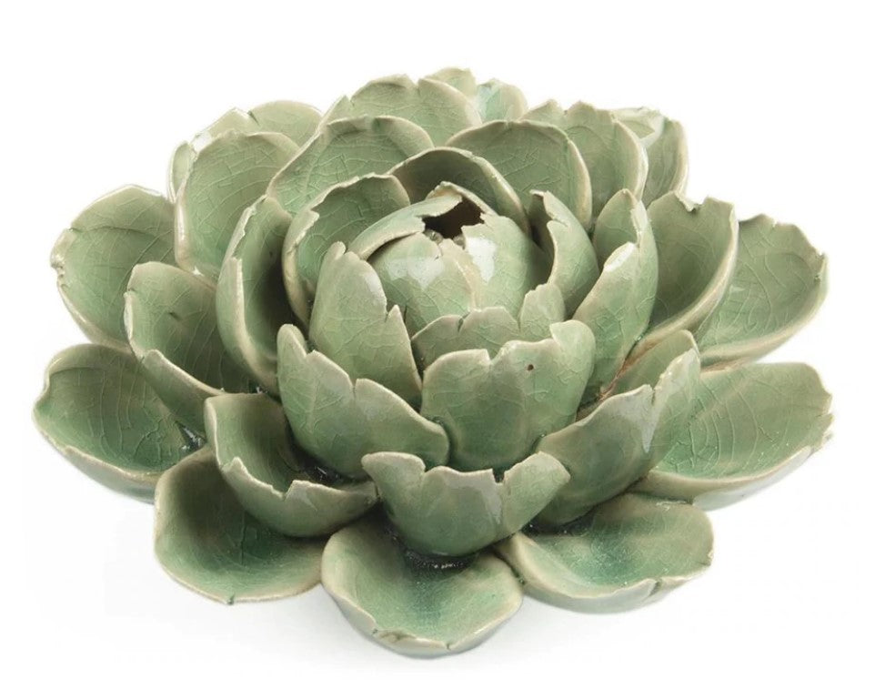 Coral Ceramica 4