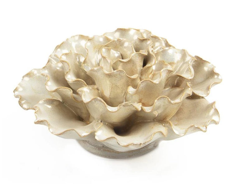 Coral Ceramica 4