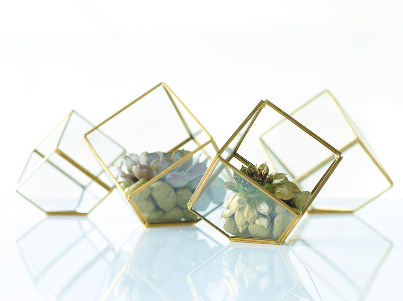 Hira Display Box - La Veta