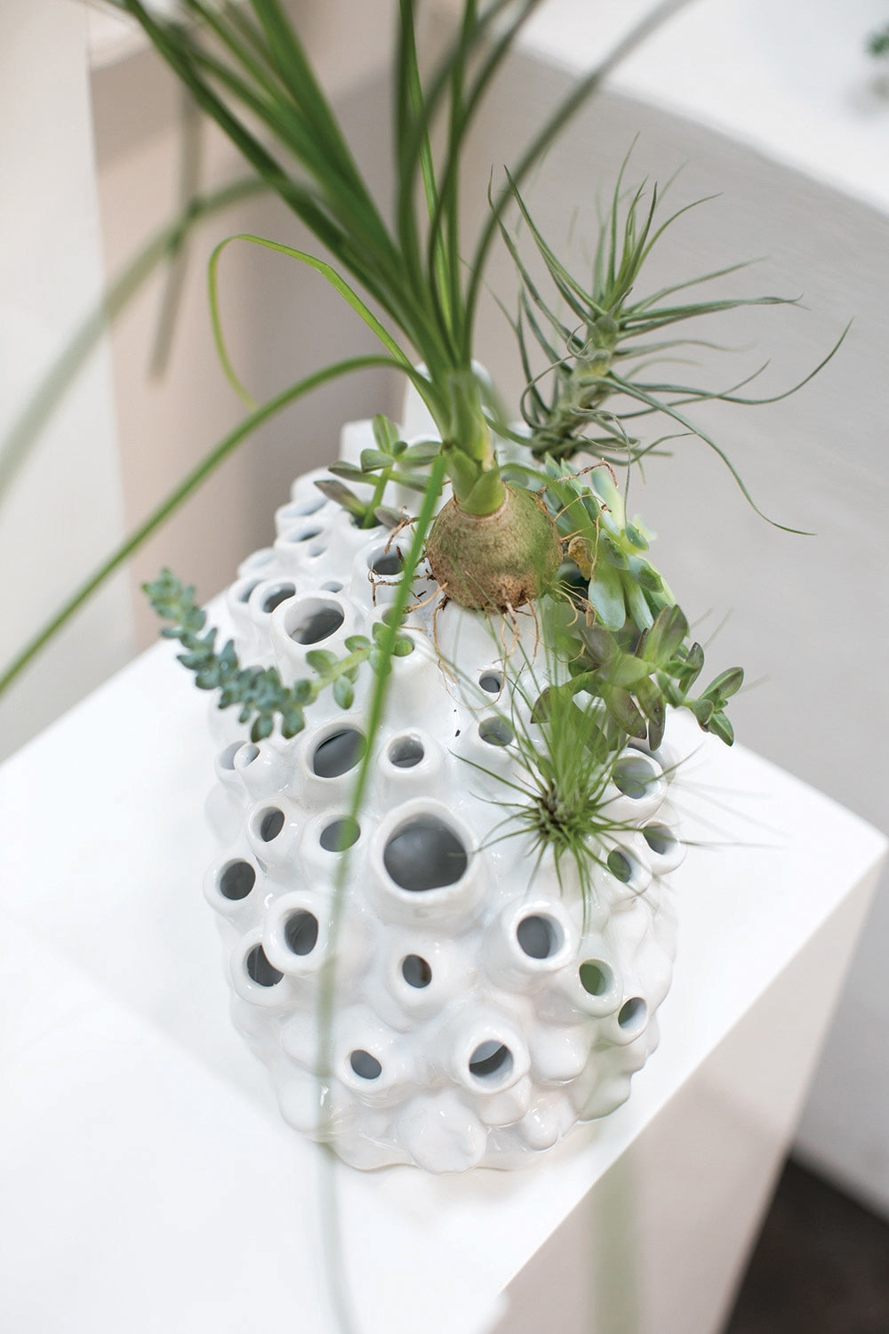 Sea Side Vase - La Veta