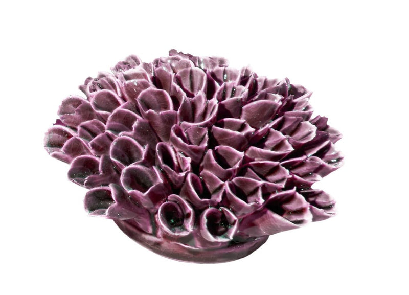 Coral Ceramica 4