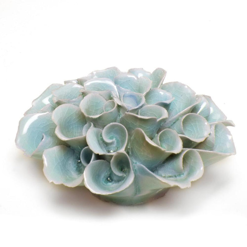 Coral Ceramica 2 - La Veta