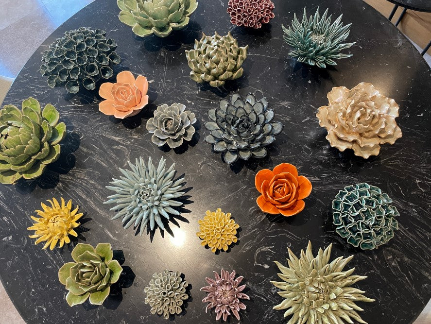 Coral Ceramica 4