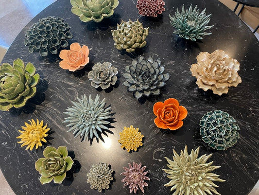 Coral Ceramica 4