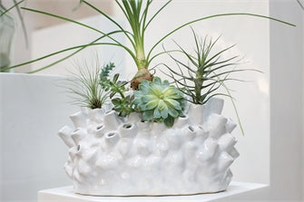 Sea Side Vase - La Veta